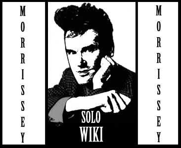 File:Solowiki17.png